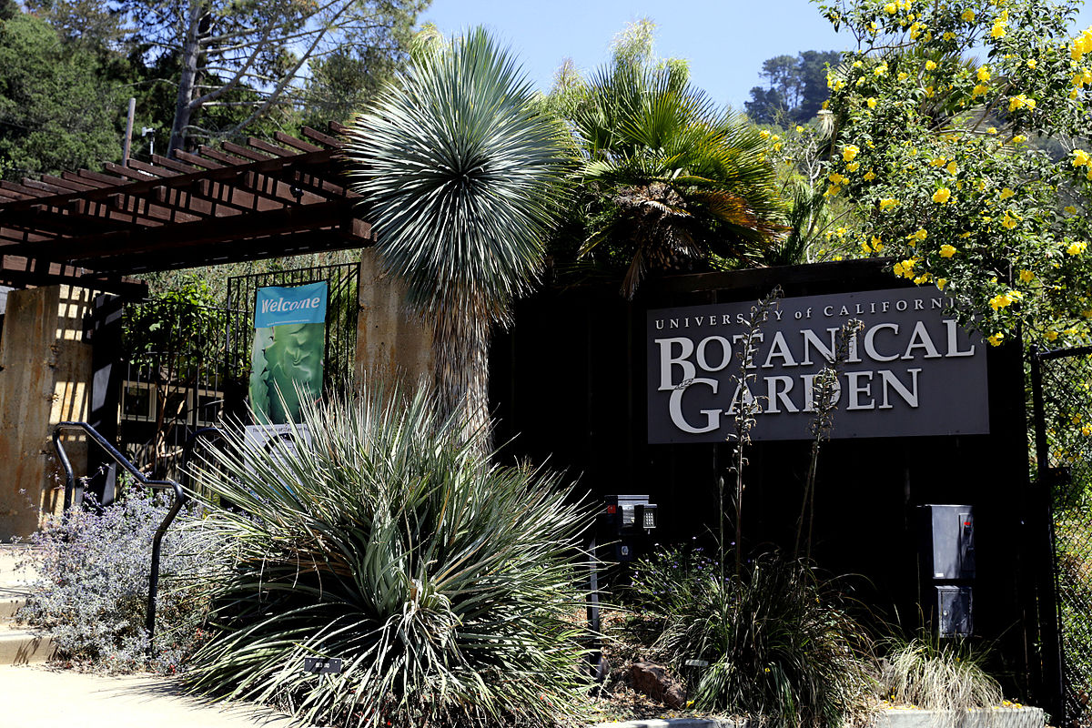 UC Botanical garden
