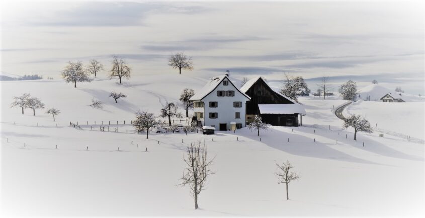 Protect Your Farm Building From Snow Load in Winter