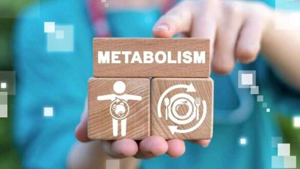 Metabolic Adaptation